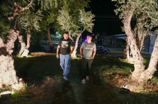 Αιωνόβιες ελιές επιστρατεύονται για την βελτίωση της ζωής ατόμων με αυτισμό