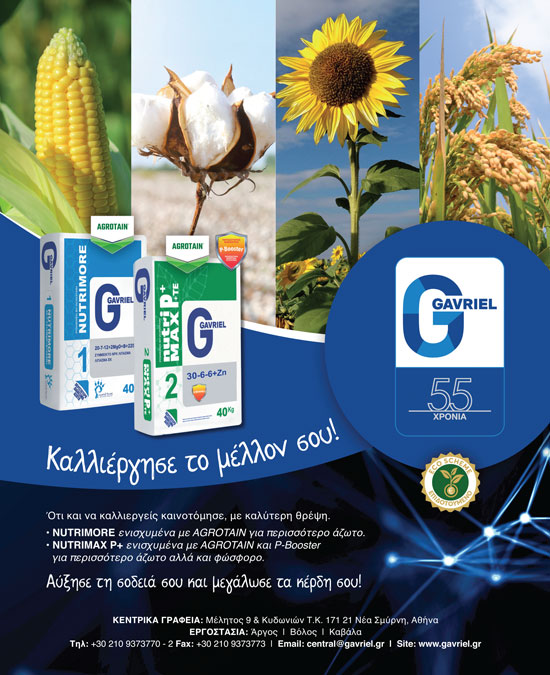 Δημοσιεύθηκε η απόφαση για νέα Σχέδια Βελτίωσης τι ισχύει για παρελκόμενα