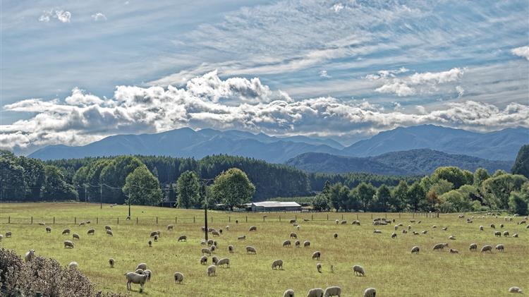 Ο δίκαιος αγώνας των κτηνοτρόφων της Λέσβου, απέναντι στην κυβερνητική ανικανότητα και αναλγησία, πρέπει να δικαιωθεί και θα δικαιωθεί