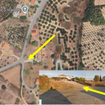 Το Ινστιτούτου Ελιάς, Υποτροπικών Φυτών και Αμπέλου του ΕΛΓΟ ΔΗΜΗΤΡΑ σας προσκαλεί: