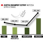 Σταθερότητα για το ελληνικό σκληρό σιτάρι, ανέβηκε στα 290 ευρώ η τιμή της Φότζια