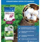 «Κλειδί» για αποδόσεις στο βαμβάκι η ισορροπημένη θρέψη και καινοτομία