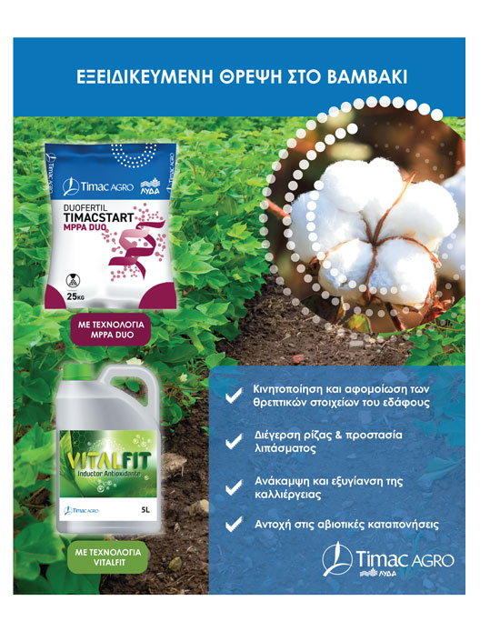 «Κλειδί» για αποδόσεις στο βαμβάκι η ισορροπημένη θρέψη και καινοτομία