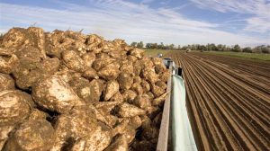 Ταϊλάνδη: Πίεση από τη βιομηχανία ζάχαρης για καύσιμο E20 και μείωση εισαγωγών πετρελαίου
