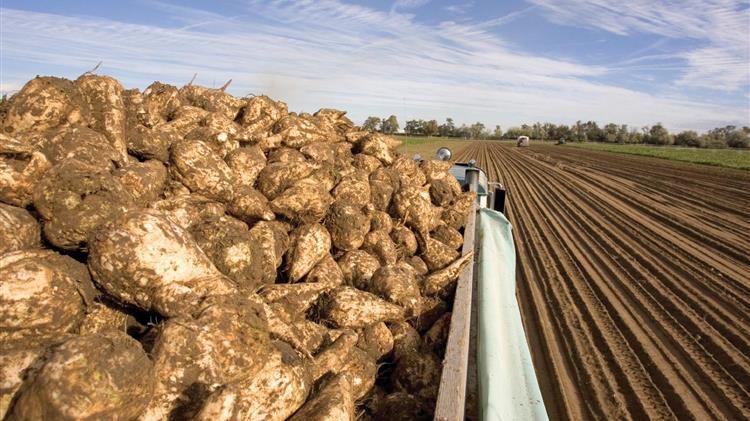 Ταϊλάνδη: Πίεση από τη βιομηχανία ζάχαρης για καύσιμο E20 και μείωση εισαγωγών πετρελαίου
