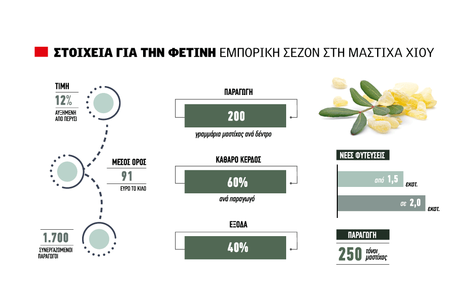 Αυξημένη κατά 12% η τιμή της μαστίχας, βελτιωμένες φέτος οι αποδόσεις