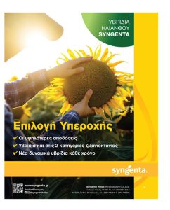 Πάει για 1 εκατ. στρέμματα ο ηλίανθος που διατηρεί τα 40 λεπτά στις συμβάσεις