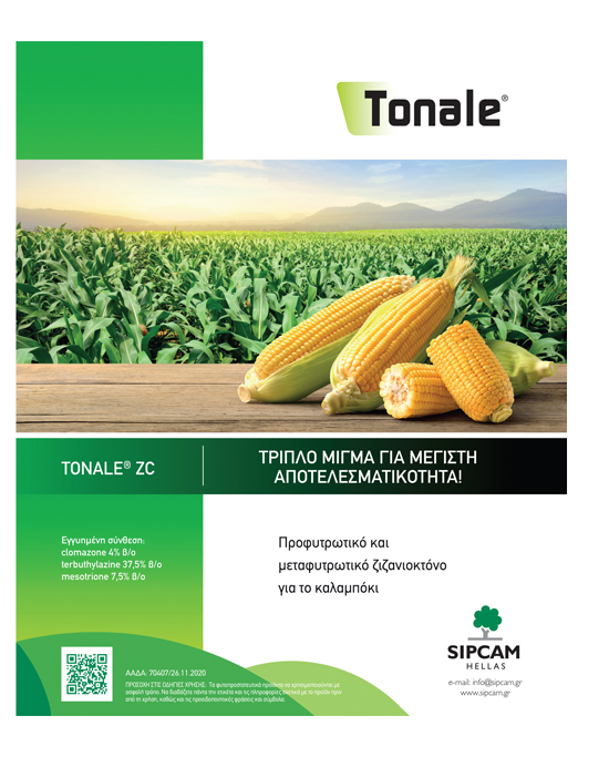 Προοπτική βελτίωσης για τιμές του βάμβακος εντός του 2026 «βλέπει» η ICAC