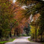 «Μικροσκοπικοί Τιτάνες των Δασών: Δασικά Έντομα και Κλιματική Κρίση»: Ανοιχτή εκδήλωση για την Παγκόσμια Ημέρα Δασών - ertnews.gr