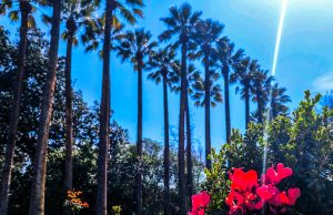 Καιρός: Ηλιοφάνεια, βοριάδες στο Αιγαίο και θερμοκρασίες κοντά στα κανονικά επίπεδα - ertnews.gr