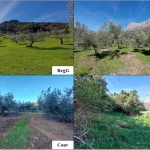 Η Αναγεννητική Γεωργία βελτιώνει την υγεία του εδάφους και αυξάνει την οικονομική απόδοση