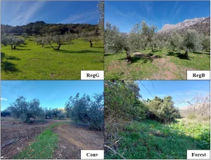 Η Αναγεννητική Γεωργία βελτιώνει την υγεία του εδάφους και αυξάνει την οικονομική απόδοση