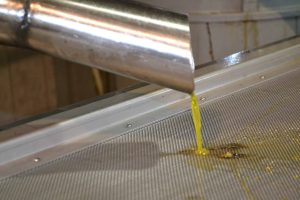 Το Μαρόκο κατεβάζει τον πήχυ της φετινής προβλεπόμενης παραγωγής ελαιολάδου του