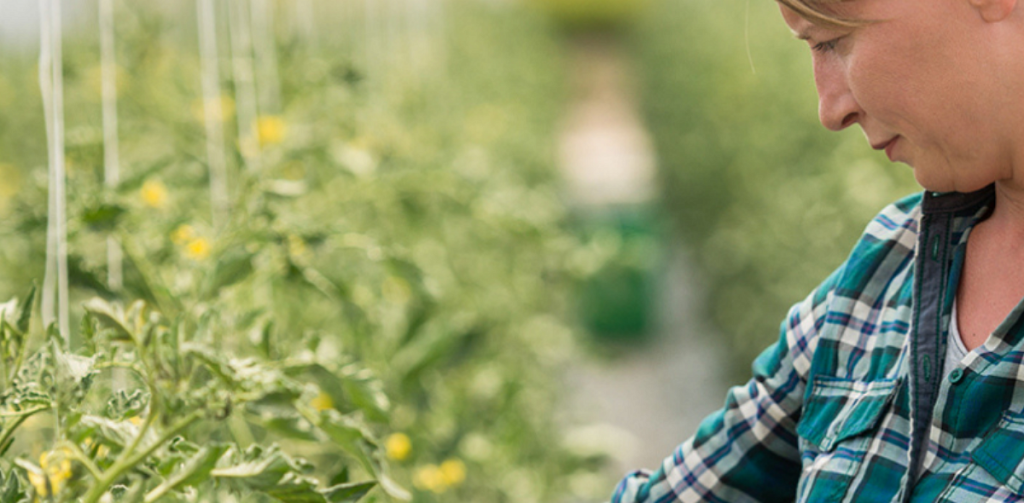 EWA Advance 2026: Ευρωπαϊκή ώθηση για γυναίκες ιδρύτριες αγροδιατροφικών startups