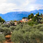 Παρατηρητήριο Τιμών Ελαιολάδου (13/3/2026)