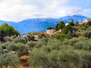 Παρατηρητήριο Τιμών Ελαιολάδου (13/3/2026)