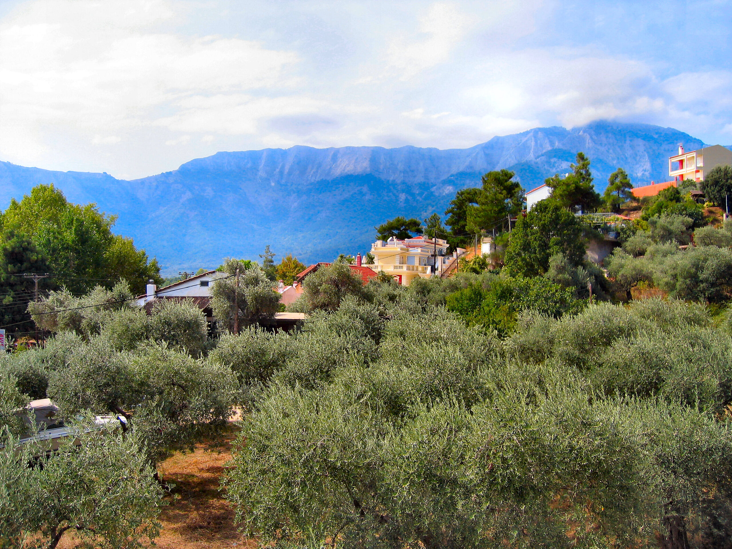 Παρατηρητήριο Τιμών Ελαιολάδου (13/3/2026)
