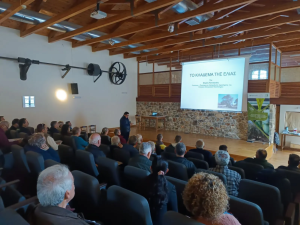 Επενδύει στην κατάρτιση των ελαιοπαραγωγών η Περιφέρεια Κρήτης - Ελαίας Καρπός