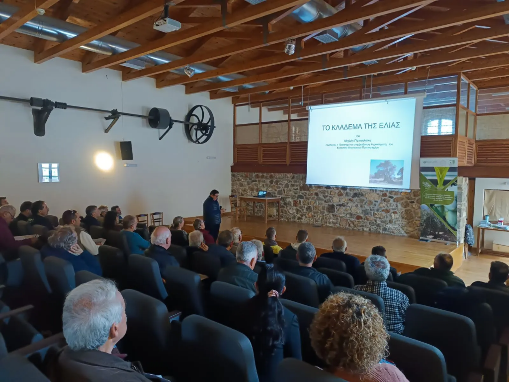 Επενδύει στην κατάρτιση των ελαιοπαραγωγών η Περιφέρεια Κρήτης - Ελαίας Καρπός