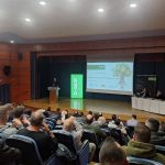 Ελαίας Καρπός