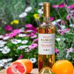 Με δύο χρυσά βραβεία έφυγε ο ΕΟΣ Σάμου από το Berliner Wine Trophy 2026 - Winetrails