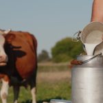 Εκούσια μείωση όγκων παραγωγής σε επίπεδο ΕΕ ζητά το Ευρωπαϊκό Συμβούλιο Γάλακτος