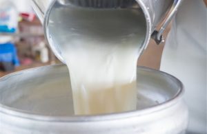 Τι προβλέπεται για ζώα, γάλα, κρέας μετά τα μέτρα για αφθώδη στη Λέσβο