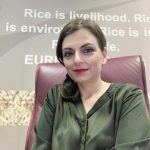 Καταρρέει η ρυζοκαλλιέργεια της ΕΕ από τις αθρόες εισαγωγές