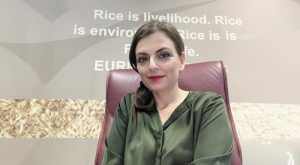 Καταρρέει η ρυζοκαλλιέργεια της ΕΕ από τις αθρόες εισαγωγές