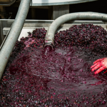 Η παγκόσμια αγορά σταφυλοχυμού αναπτύσσεται και ενισχύει τη διεθνή συνεργασία