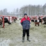 Ρωσία: Αποζημιώσεις στους αγρότες μετά τη σφαγή βοοειδών λόγω ζωονόσων και διαμαρτυριών