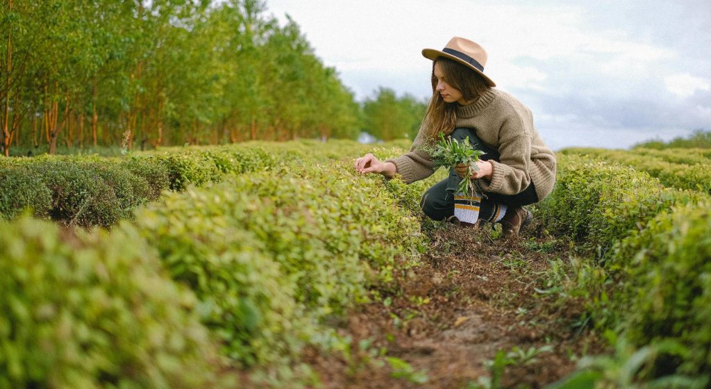 Η Κομισιόν άνοιξε ευρωπαϊκή πλατφόρμα για αγρότισσες - Μέχρι 30/4 οι αιτήσεις • Έλληνας Αγρότης