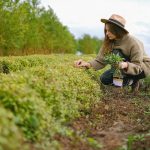 Η Κομισιόν άνοιξε ευρωπαϊκή πλατφόρμα για αγρότισσες - Μέχρι 30/4 οι αιτήσεις • Έλληνας Αγρότης