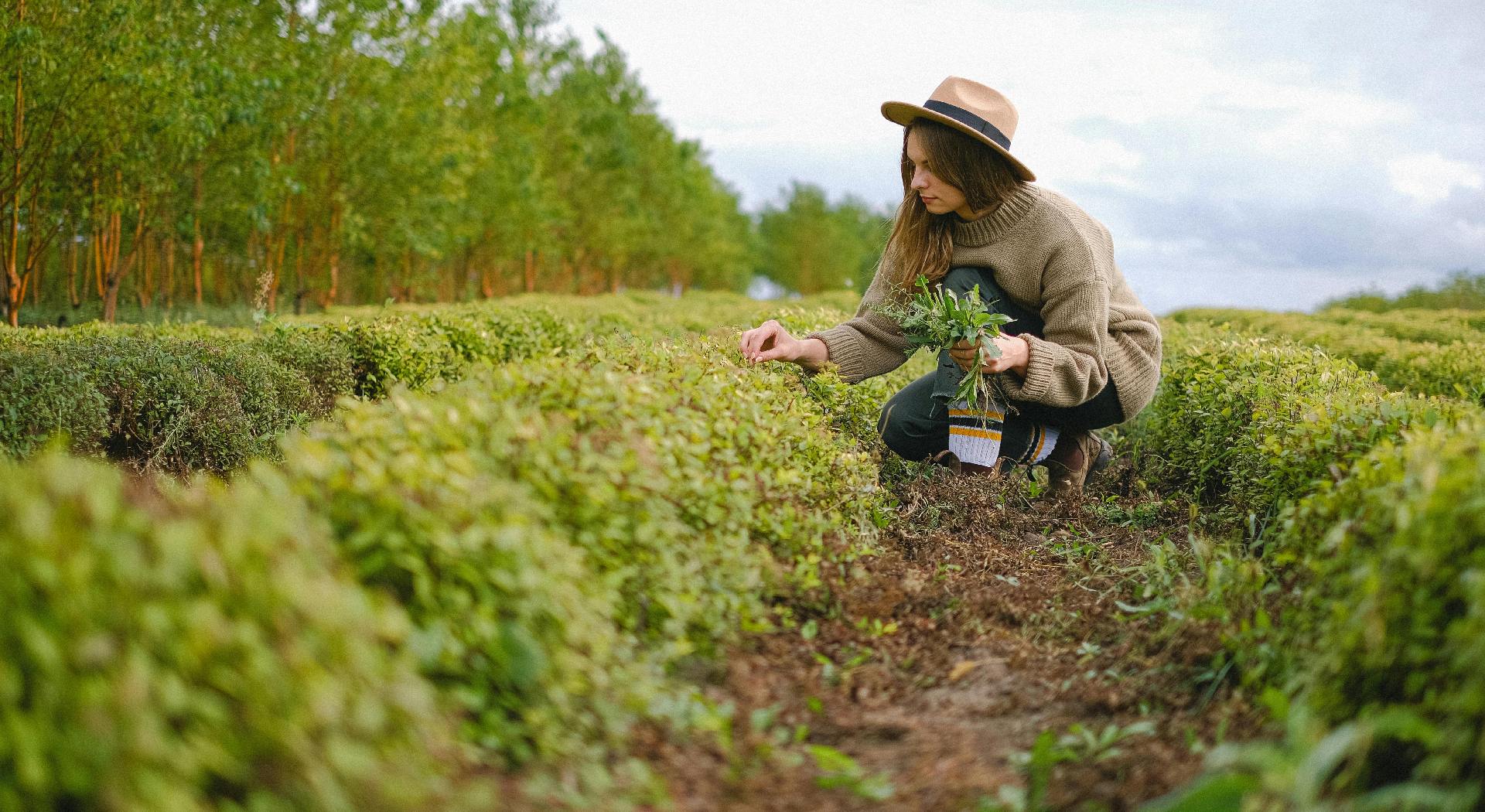 Η Κομισιόν άνοιξε ευρωπαϊκή πλατφόρμα για αγρότισσες - Μέχρι 30/4 οι αιτήσεις • Έλληνας Αγρότης