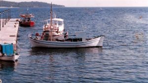 Νέα χρηματοδοτική δράση για τον εκσυγχρονισμό αλιευτικών σκαφών