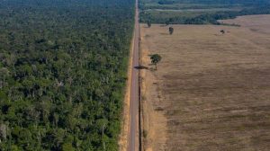 Οι ΗΠΑ προειδοποιούν την ΕΕ για τον κανονισμό αποψίλωσης