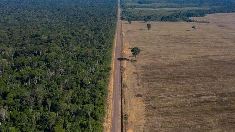Οι ΗΠΑ προειδοποιούν την ΕΕ για τον κανονισμό αποψίλωσης