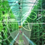 REENFORCE: Νέα εργαλεία για βιώσιμη και έξυπνη φυτοπροστασία