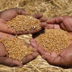 Ανησυχία για νέο κύμα ανατιμήσεων στα τρόφιμα λόγω καυσίμων