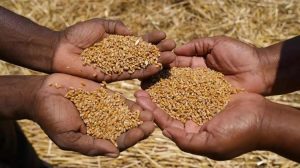 Ανησυχία για νέο κύμα ανατιμήσεων στα τρόφιμα λόγω καυσίμων