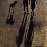 O Ντίνος ο Καρδιτσιώτης και πώς τα σκυλιά έγιναν τα νέα μωρά