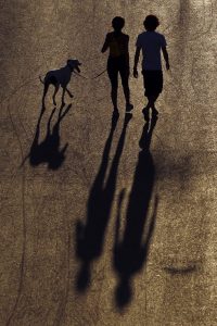 O Ντίνος ο Καρδιτσιώτης και πώς τα σκυλιά έγιναν τα νέα μωρά