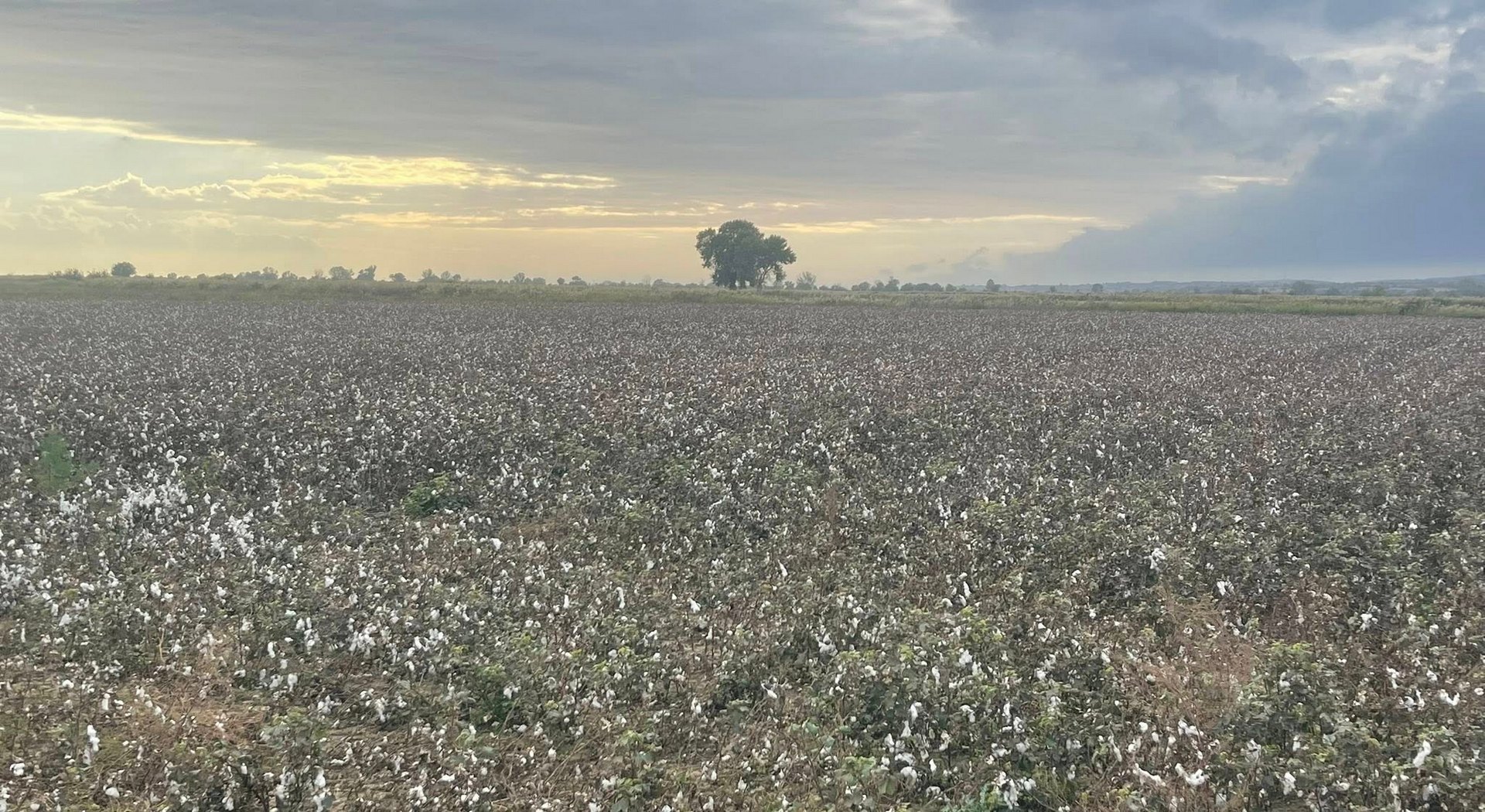 «Συγνώμη λάθος» από το ΥΠΑΑΤ σε Βοιωτούς αγρότες για τα πρόστιμα - Τι γίνεται με εκκρεμότητες προηγούμενων ετών • Έλληνας Αγρότης