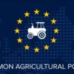 Ομαλές μεταβιβάσεις και πρόωρη συνταξιοδότηση θα φέρουν ανανέωση στον πρωτογενή τομέα • Έλληνας Αγρότης