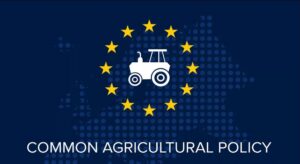 Ομαλές μεταβιβάσεις και πρόωρη συνταξιοδότηση θα φέρουν ανανέωση στον πρωτογενή τομέα • Έλληνας Αγρότης