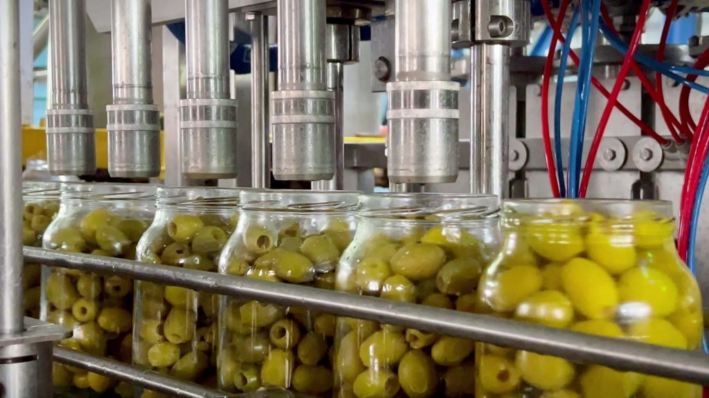 Χωρίς δασμούς ελληνικές εξαγωγές επιτραπέζιας ελιάς στην Ινδία