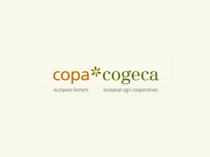 Copa-Cogeca: «Η ΕΕ έχει τα εργαλεία να παρέμβει στα λιπάσματα»