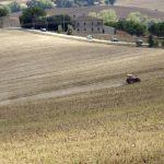 Παρέμβαση Νέας Αριστεράς  για το «μπλόκο» στο ΟΣΔΕ 2026 και την Κάρτα Αγρότη