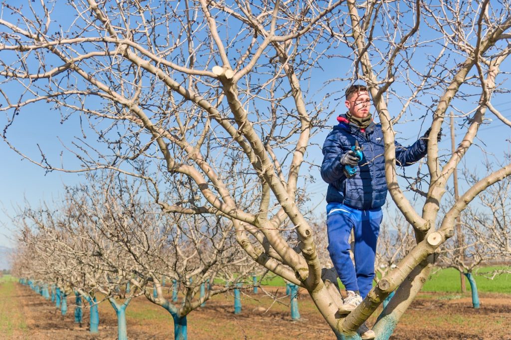 Tι μπλοκάρει τις πληρωμές σε Σχέδια Βελτίωσης και Νέους Αγρότες