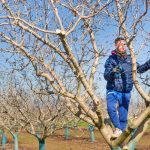 Tι μπλοκάρει τις πληρωμές σε Σχέδια Βελτίωσης και Νέους Αγρότες